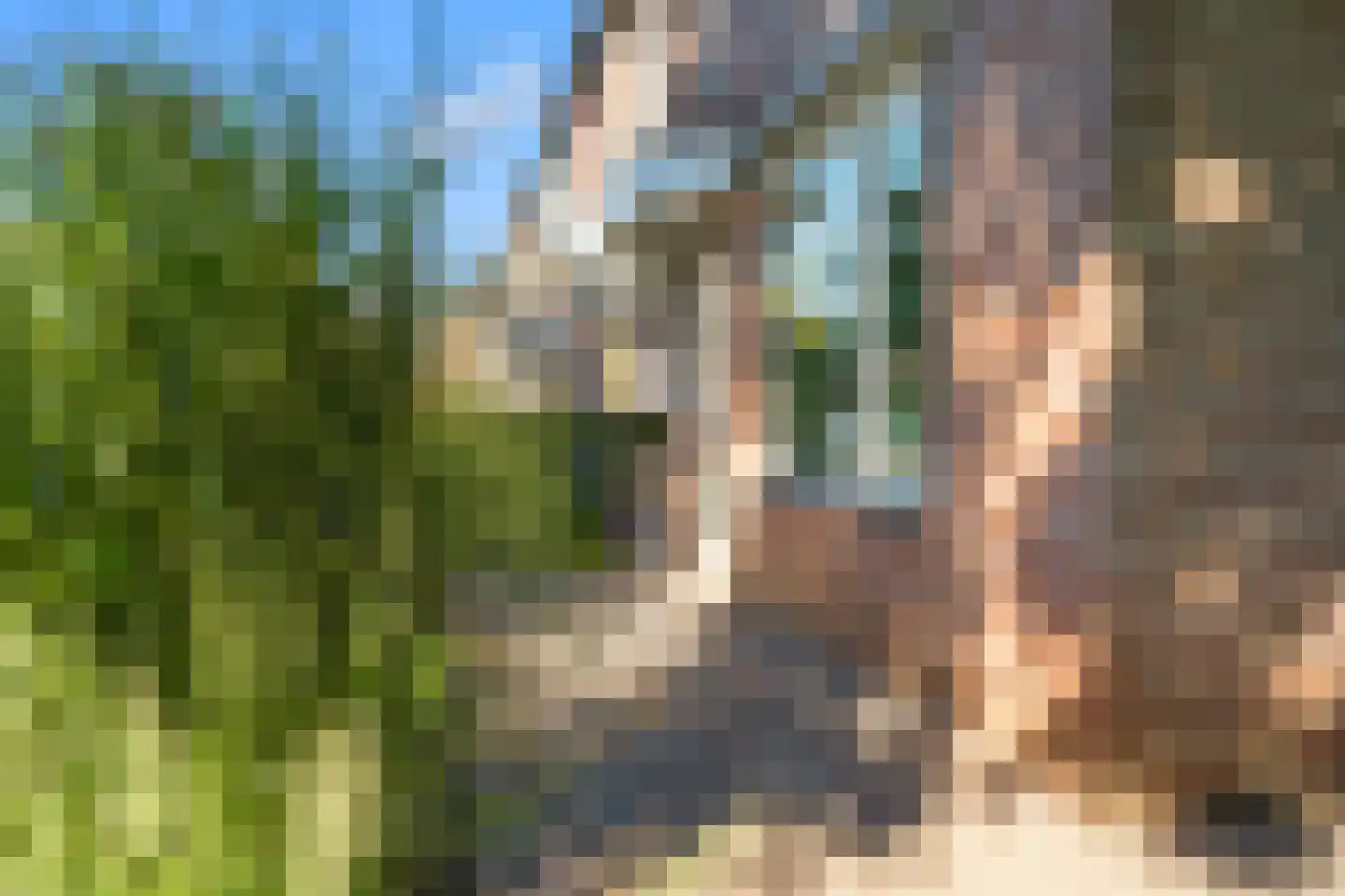 Mathaakveld 32 Houten thumbnail 43
