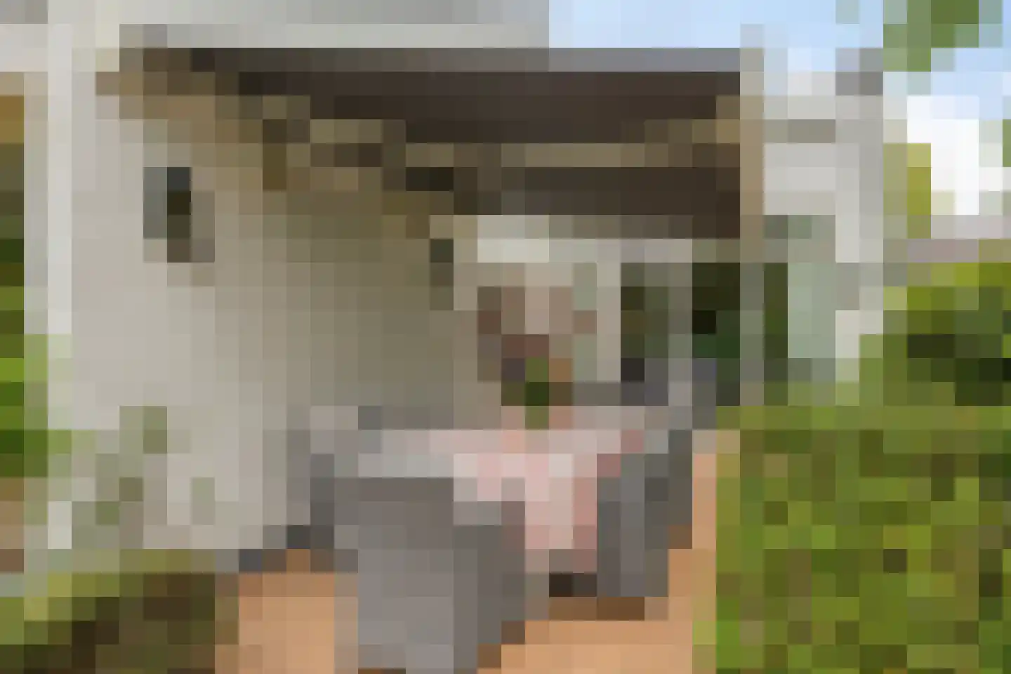 Mathenesselaan 7 Oegstgeest thumbnail 102