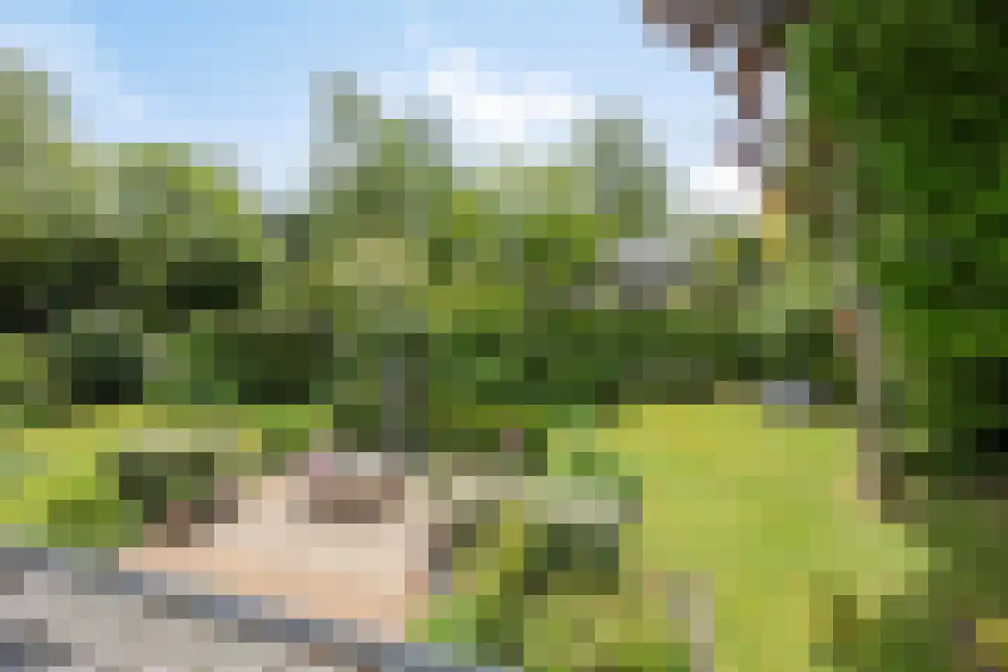 Mathenesselaan 7 Oegstgeest thumbnail 113