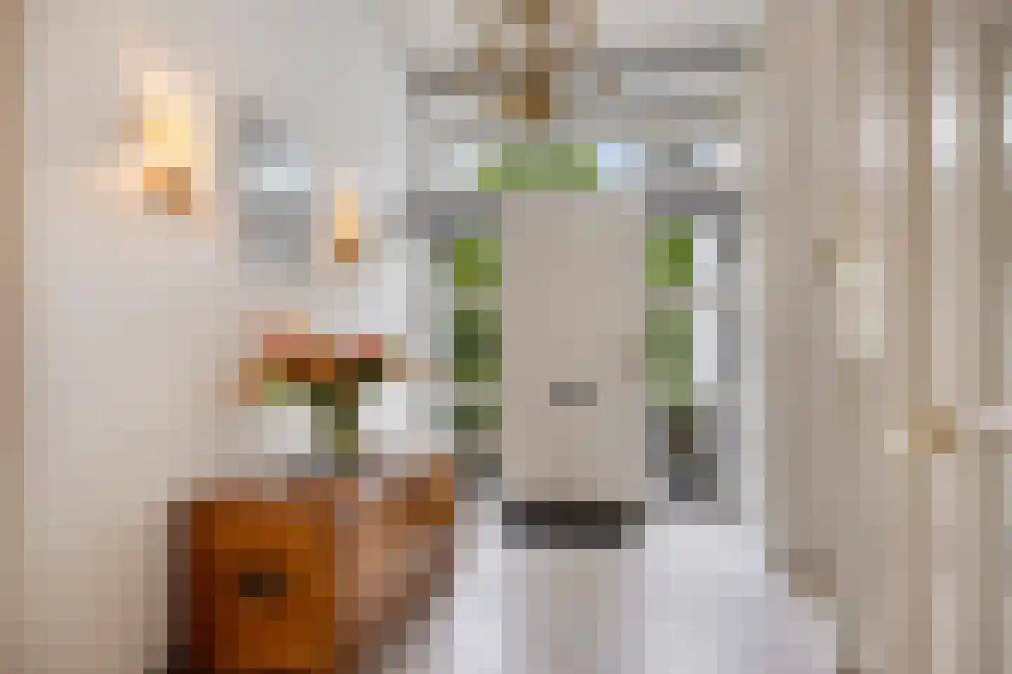 Mathenesselaan 7 Oegstgeest thumbnail 16