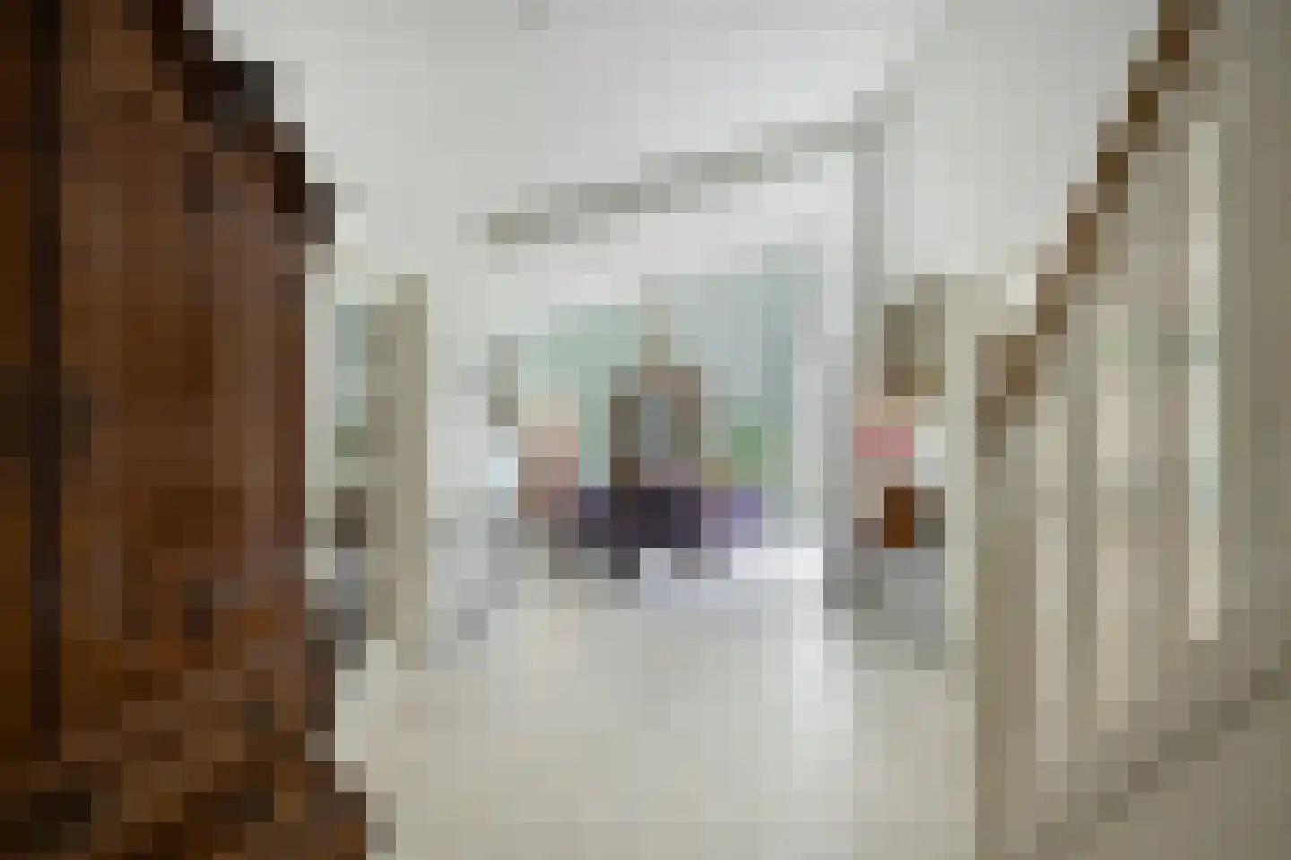 Mathenesselaan 7 Oegstgeest thumbnail 32