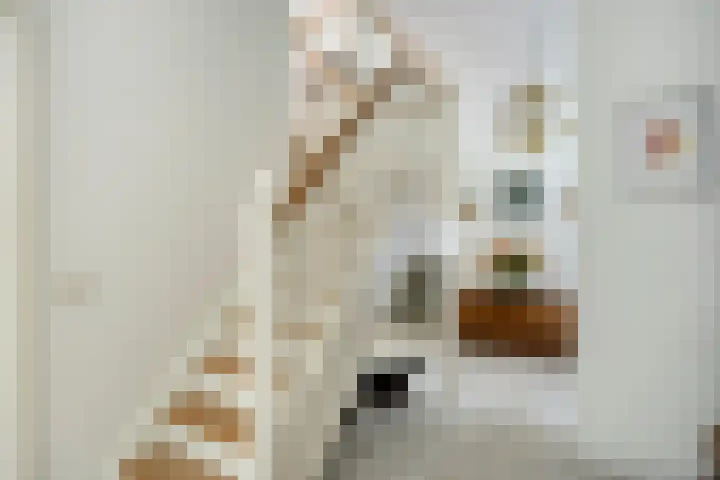 Mathenesselaan 7 Oegstgeest thumbnail 35
