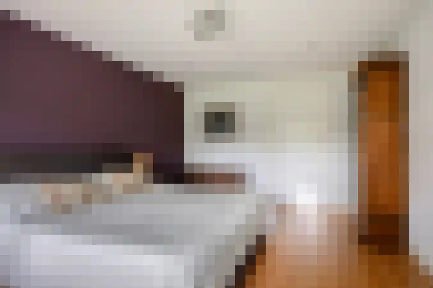 Mathenesselaan 7 Oegstgeest thumbnail 43