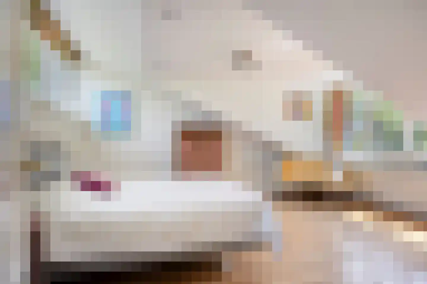 Mathenesselaan 7 Oegstgeest thumbnail 80
