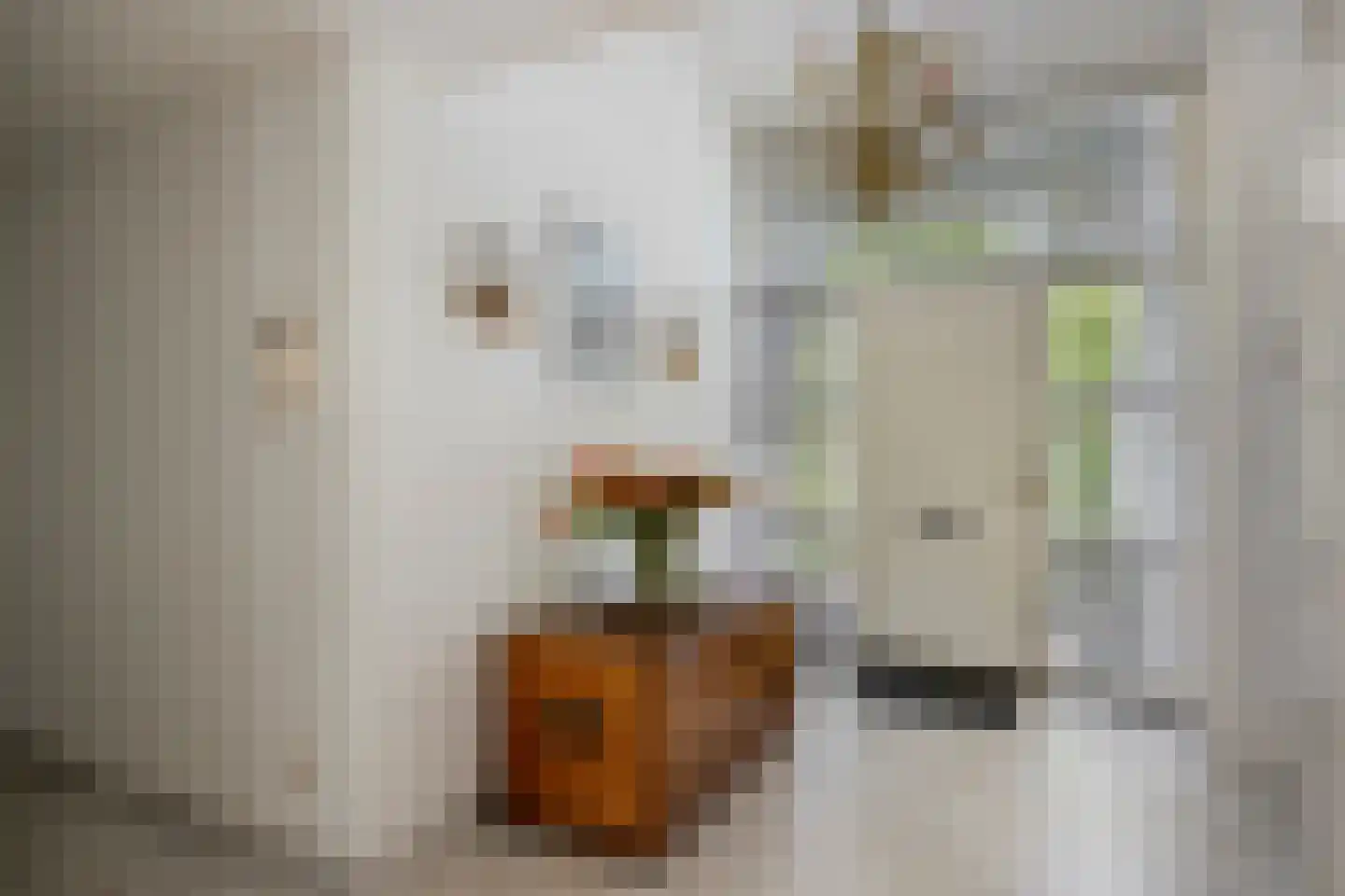 Mathenesselaan 7 Oegstgeest thumbnail 9