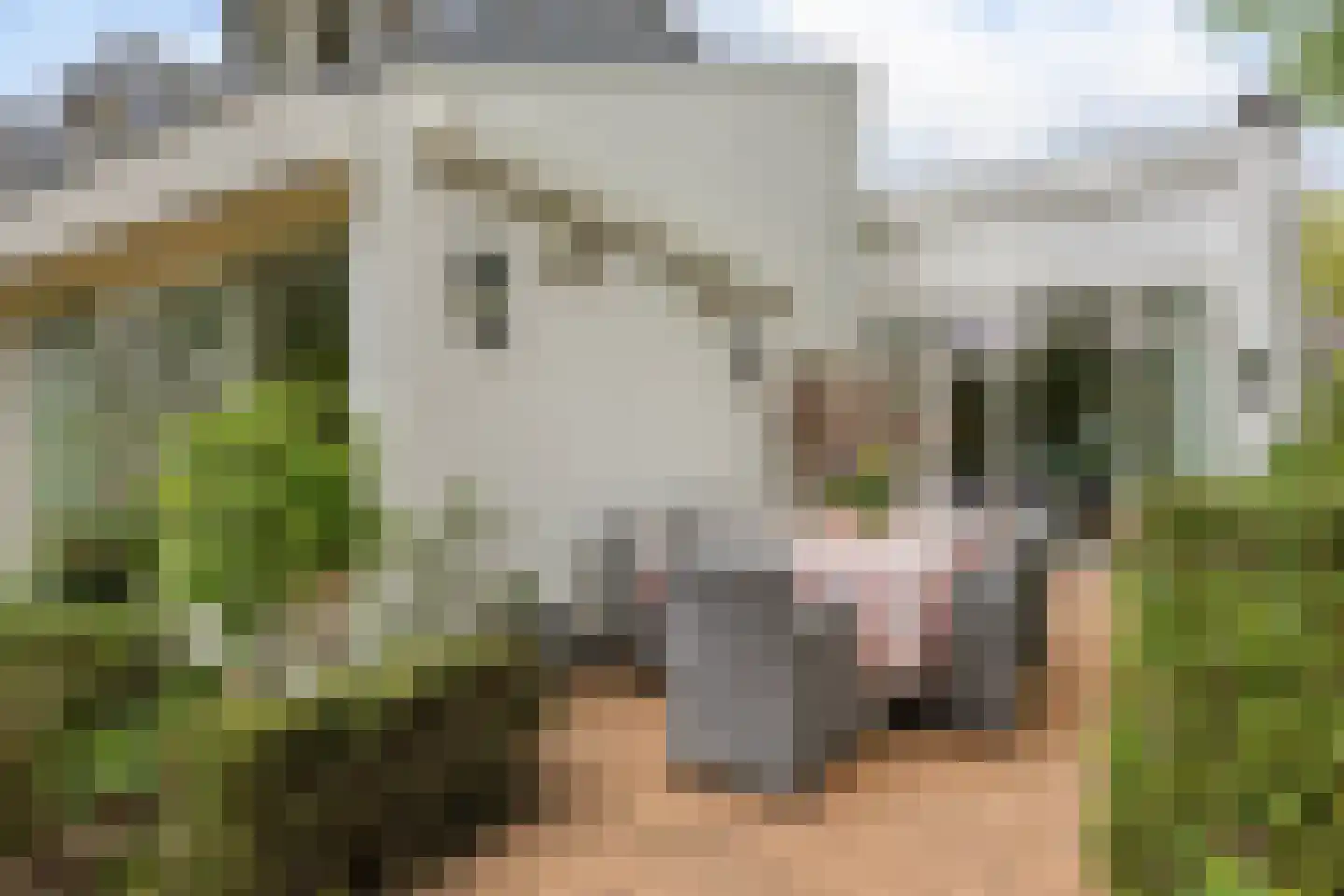 Mathenesselaan 7 Oegstgeest thumbnail 94