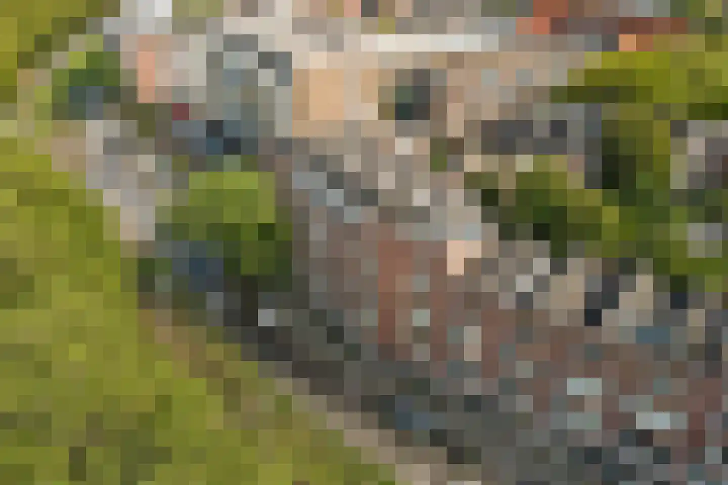 Mathenesserdijk 109 B 01 Rotterdam thumbnail 25
