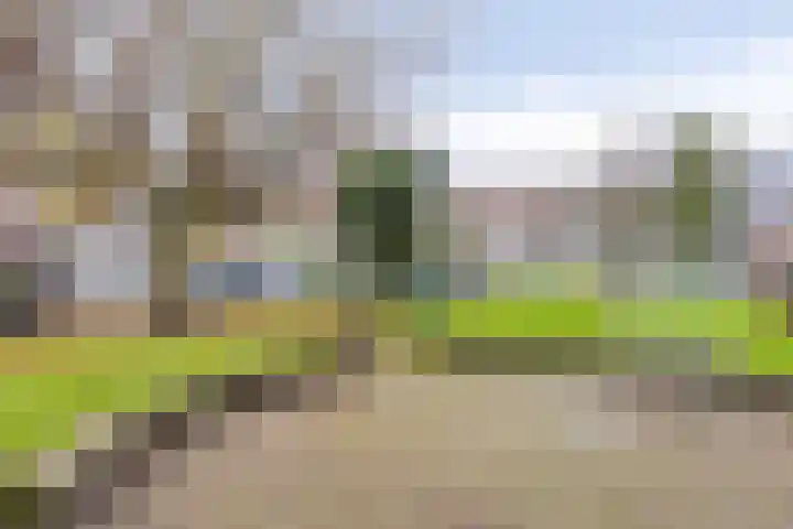 Mathenesserdijk 159 C Rotterdam foto 3