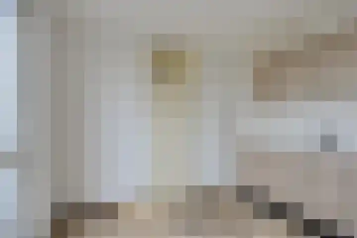 Mathenesserdijk 159 C Rotterdam thumbnail 8