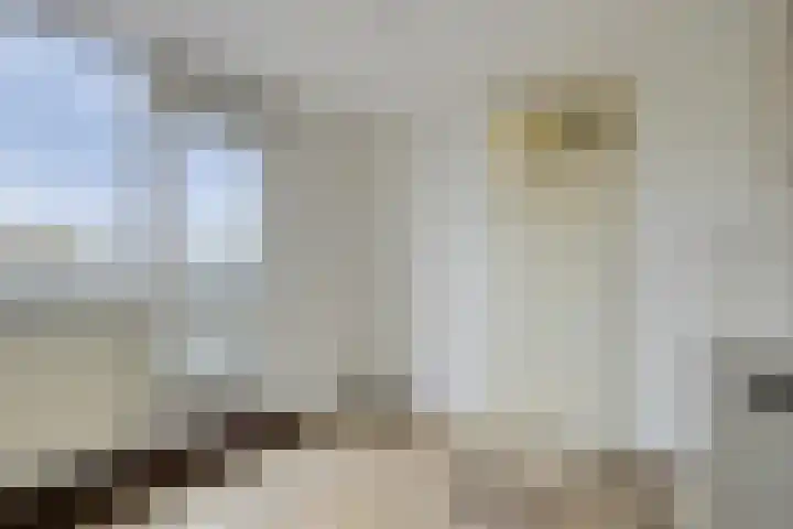 Mathenesserdijk 159 C Rotterdam thumbnail 9