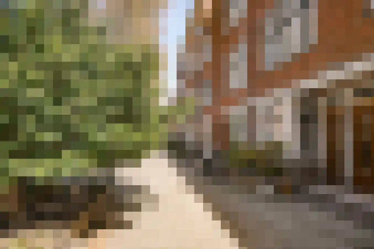 Mathenesserdijk 274 B 02 Rotterdam thumbnail 5