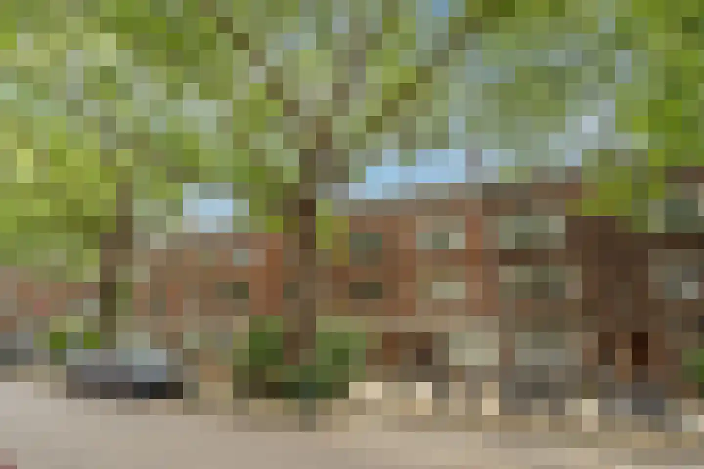 Mathenesserdijk 302 B01 Rotterdam thumbnail 29