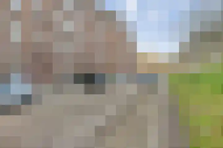 Mathenesserdijk 34 B Rotterdam thumbnail 23