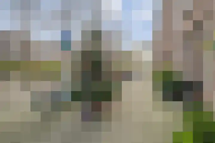Mathenesserdijk 34 B Rotterdam thumbnail 24