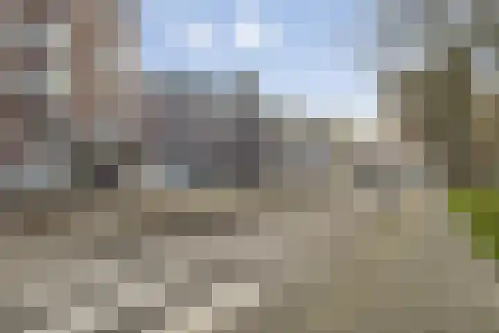 Mathenesserdijk 34 B Rotterdam thumbnail 25