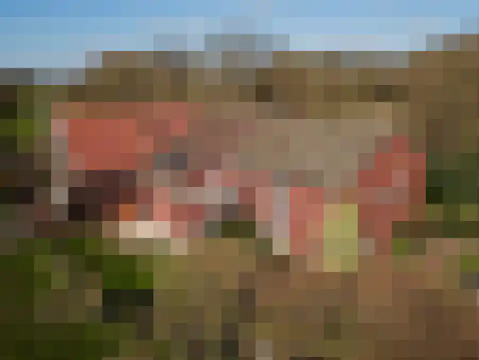 Mathenesserdijk 449 Rotterdam thumbnail 16