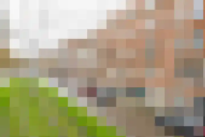 Mathenesserdijk 55 B 02 Rotterdam thumbnail 7