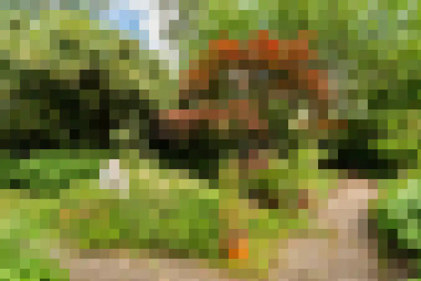 Mathenesserlaan 135 02R Rotterdam thumbnail 10