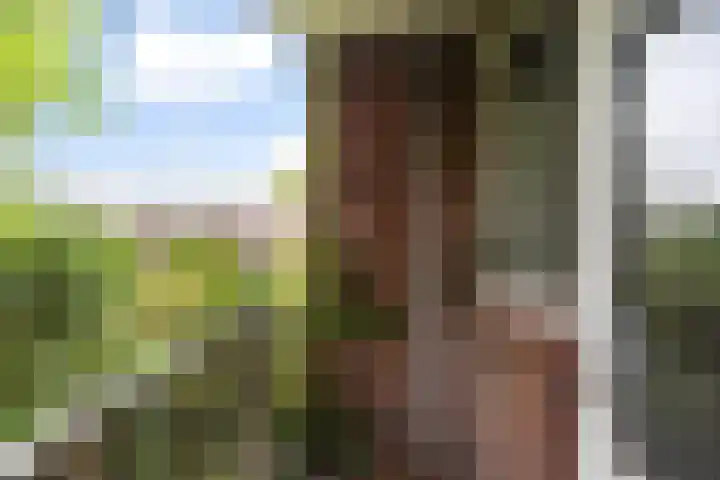 Mathenesserlaan 137 BG Rotterdam thumbnail 10