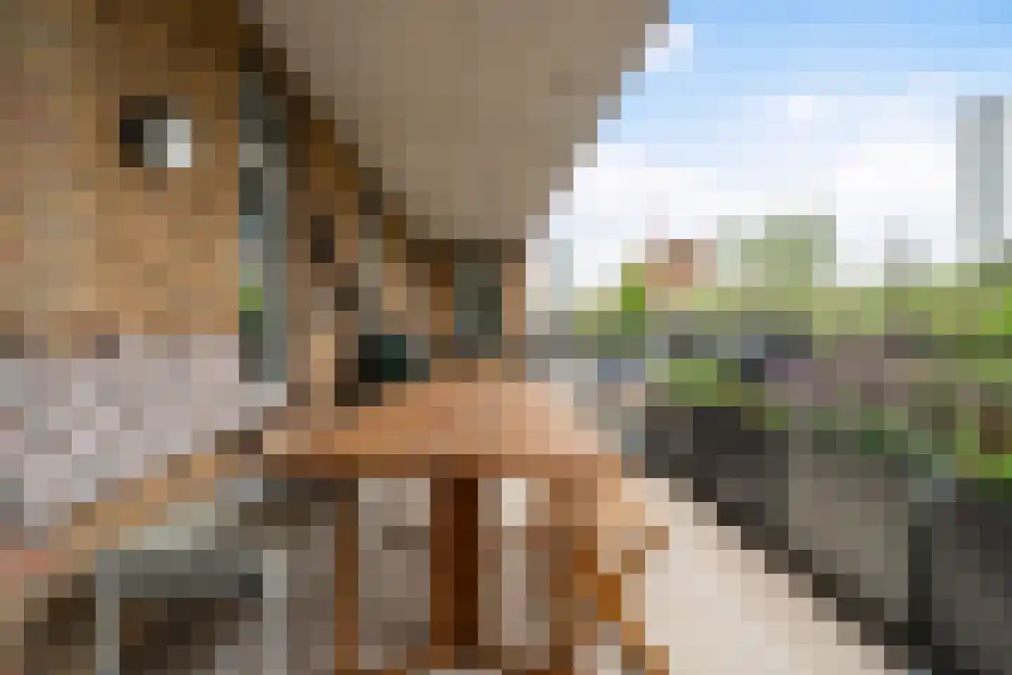 Mathenesserlaan 172 B Rotterdam thumbnail 18