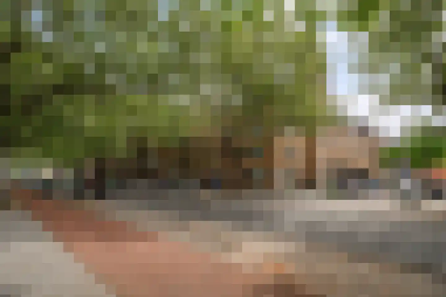 Mathenesserlaan 172 B Rotterdam thumbnail 39