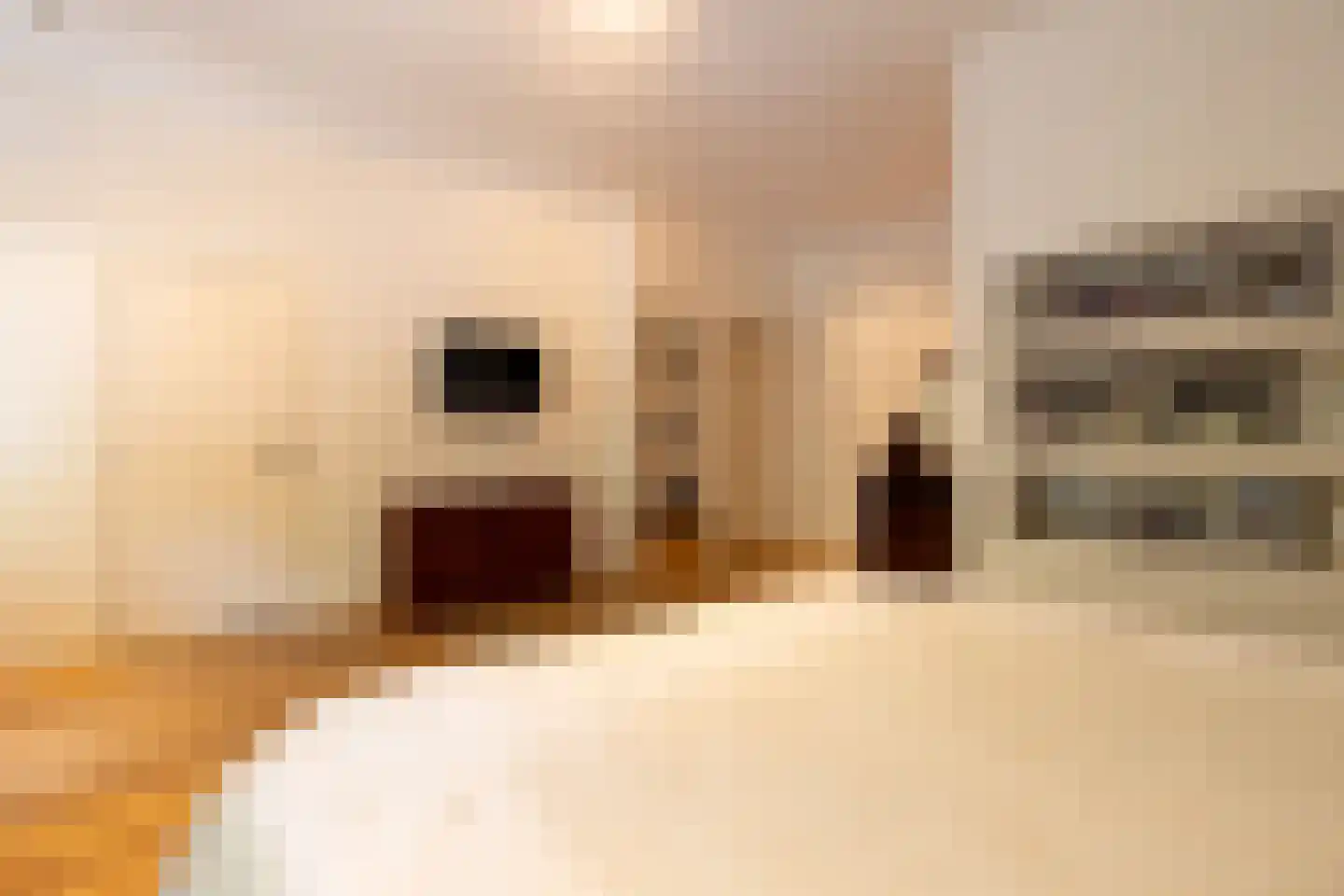 Mathenesserlaan 202 A Rotterdam thumbnail 31