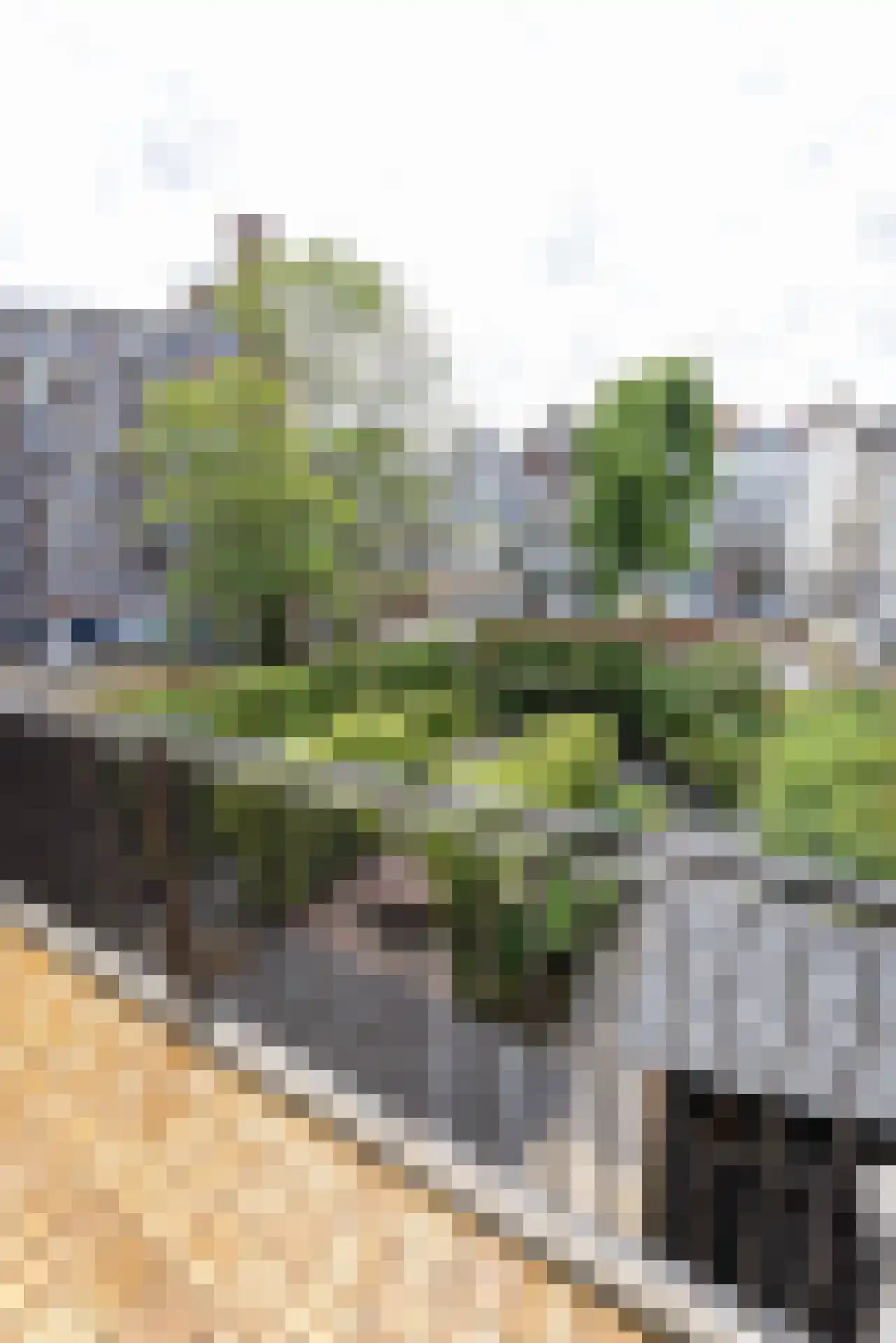 Mathenesserlaan 202 A Rotterdam thumbnail 39