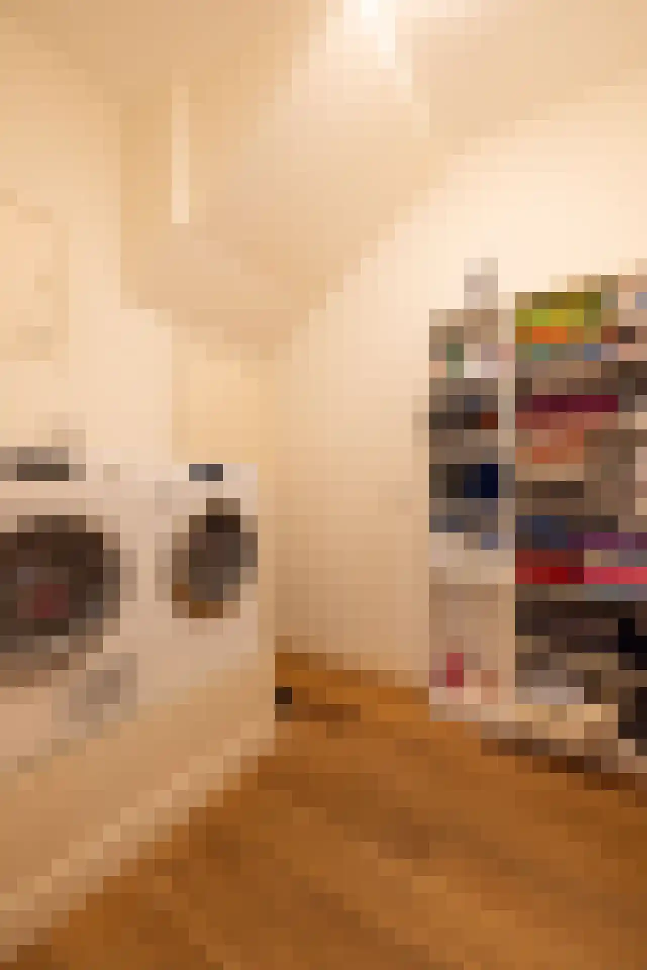 Mathenesserlaan 202 A Rotterdam thumbnail 48