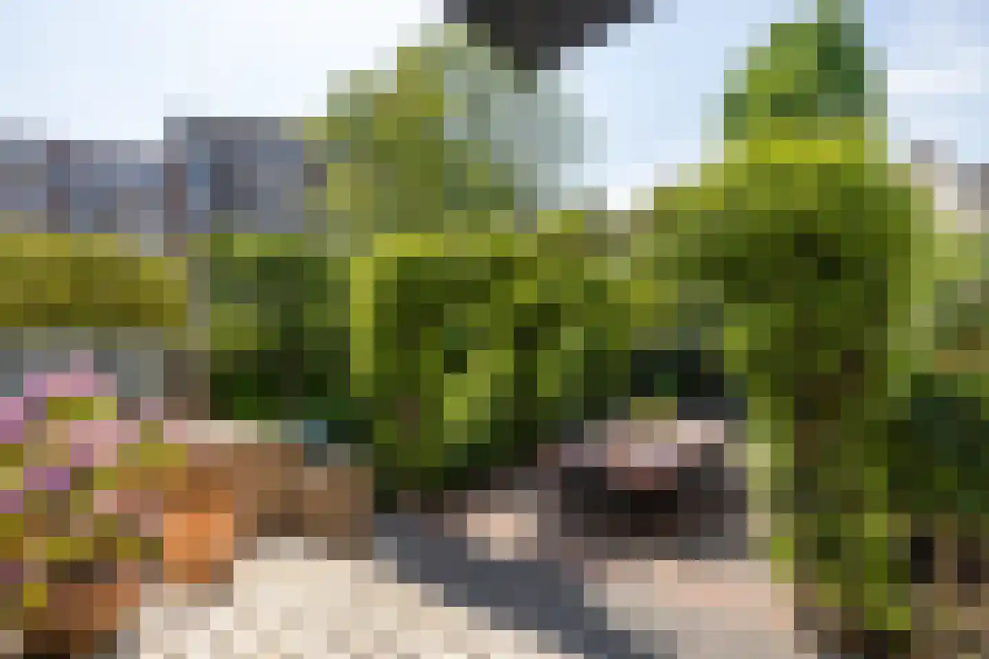 Mathenesserlaan 202 A Rotterdam thumbnail 51