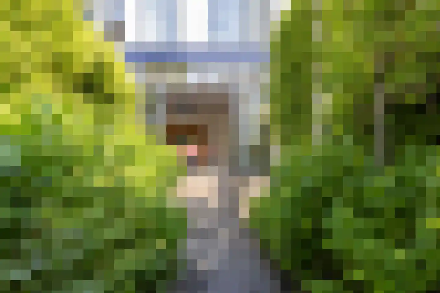 Mathenesserlaan 202 A Rotterdam thumbnail 57