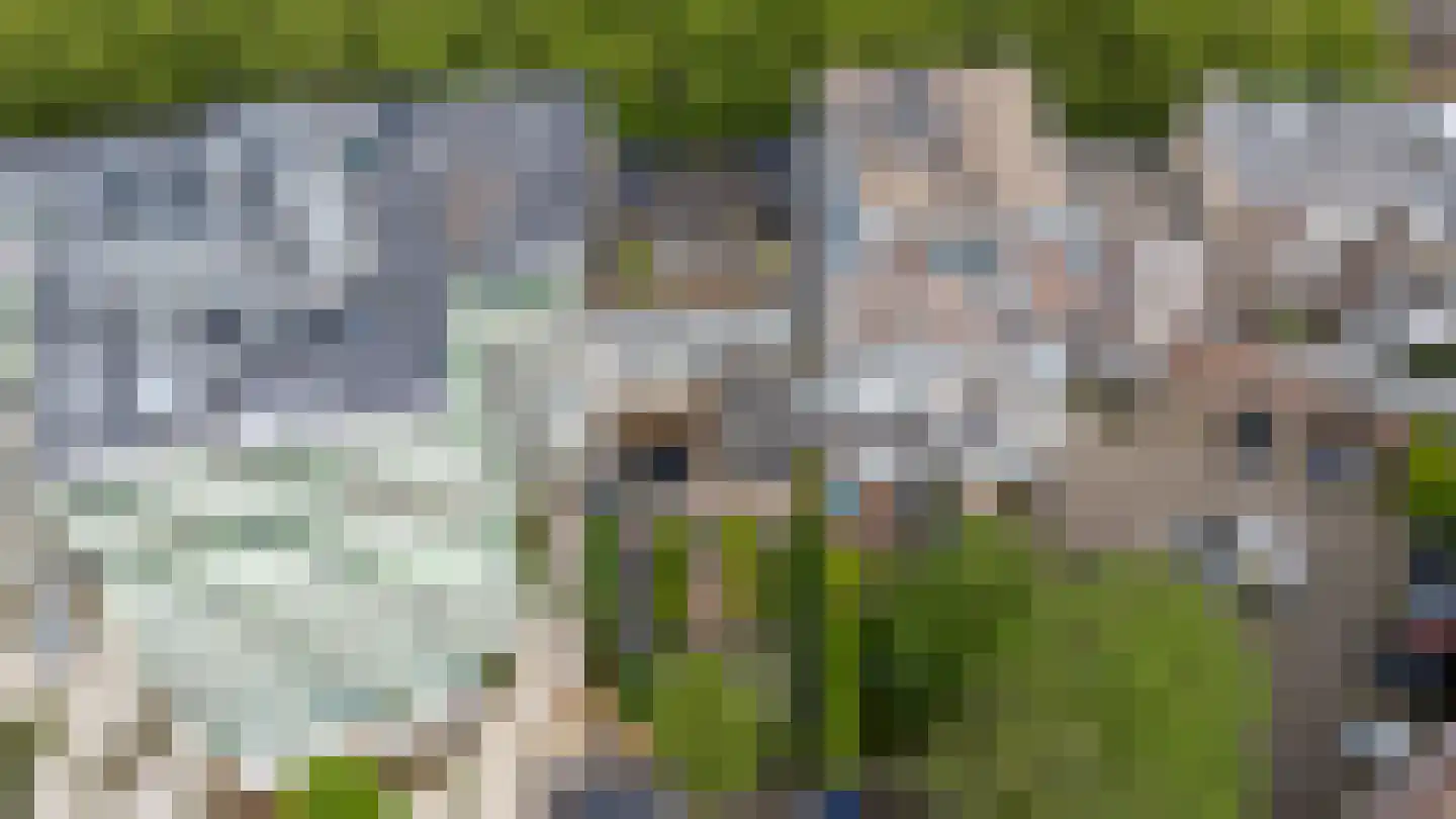 Mathenesserlaan 202 A Rotterdam thumbnail 63