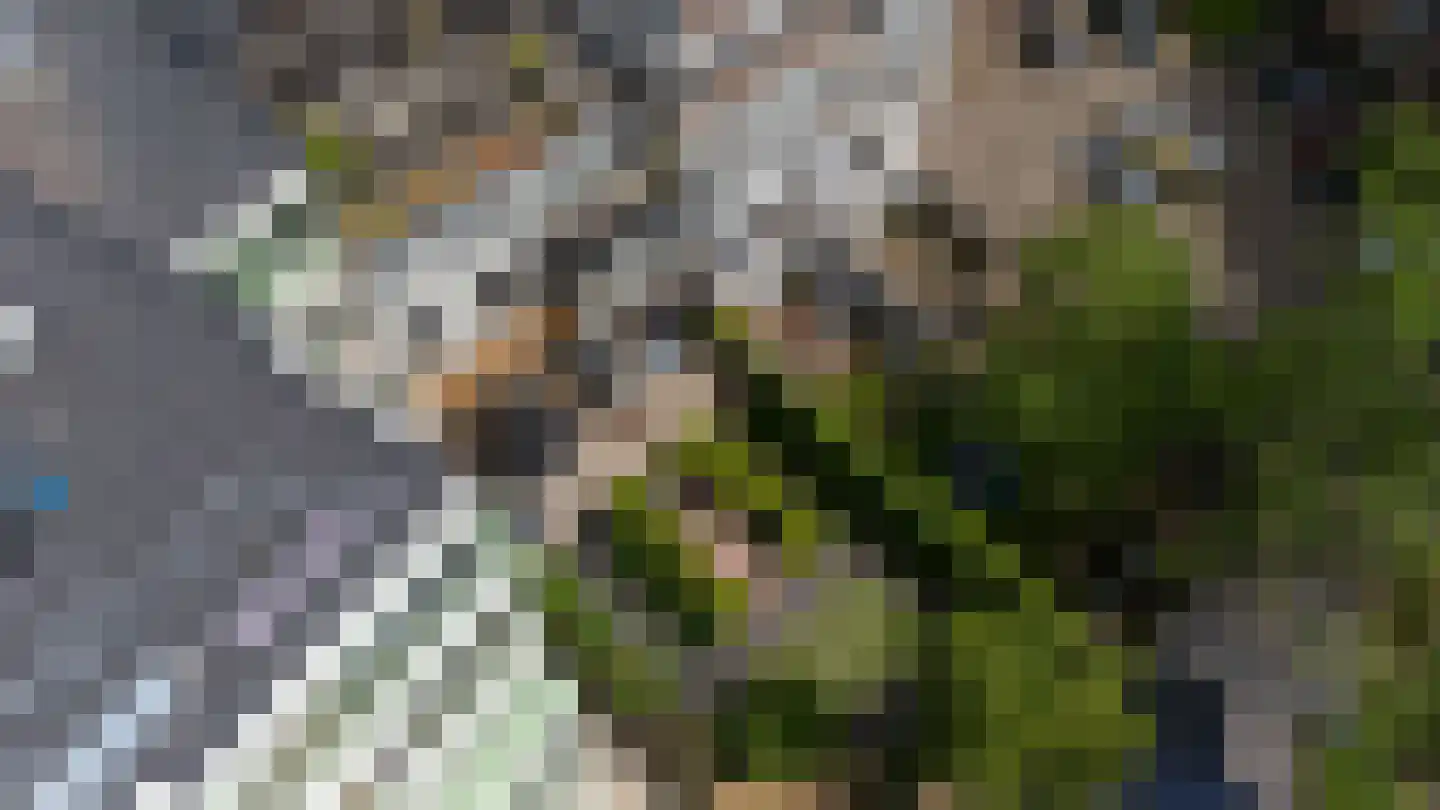 Mathenesserlaan 202 A Rotterdam thumbnail 65
