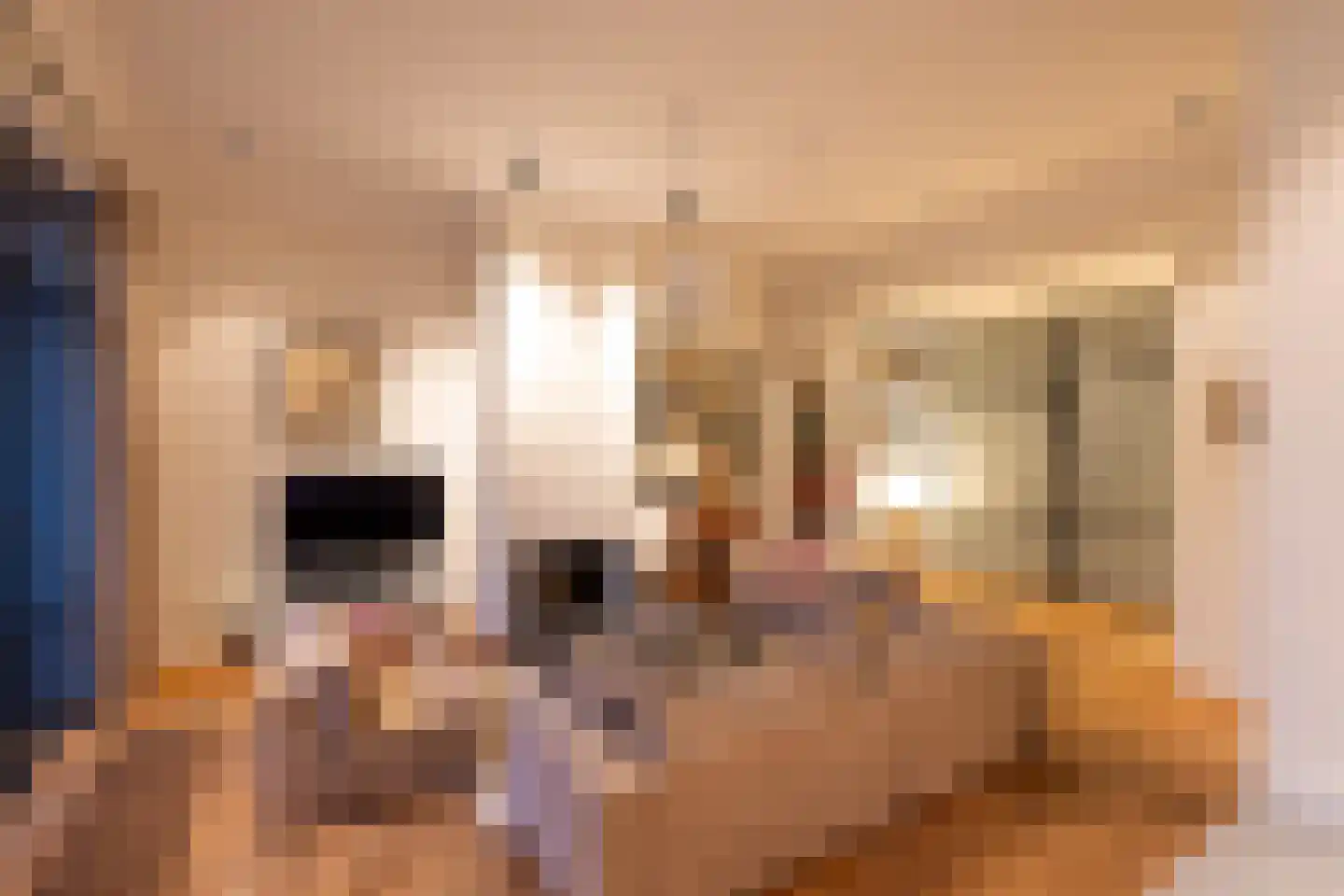 Mathenesserlaan 202 A Rotterdam thumbnail 74