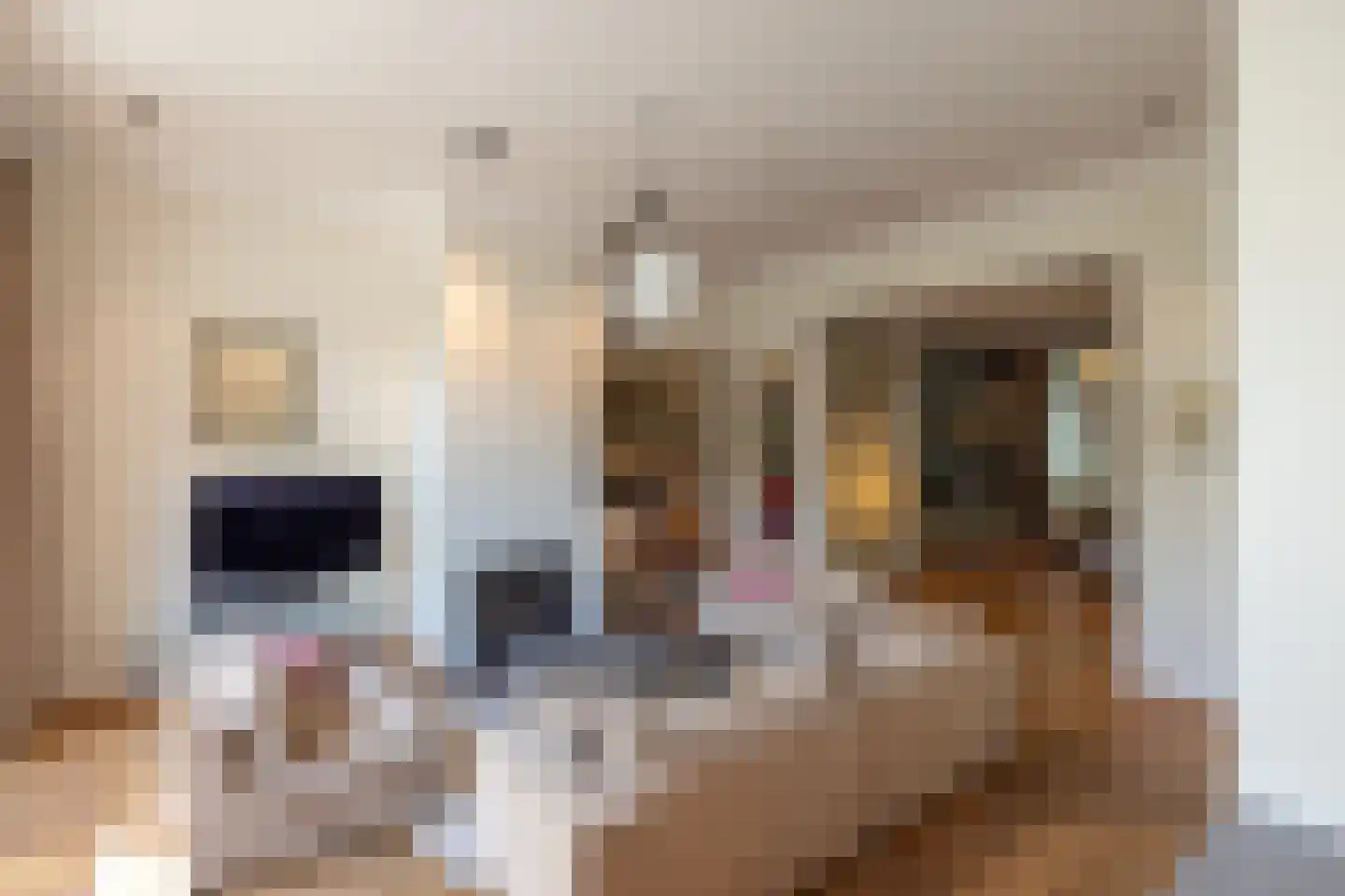 Mathenesserlaan 202 A Rotterdam thumbnail 8