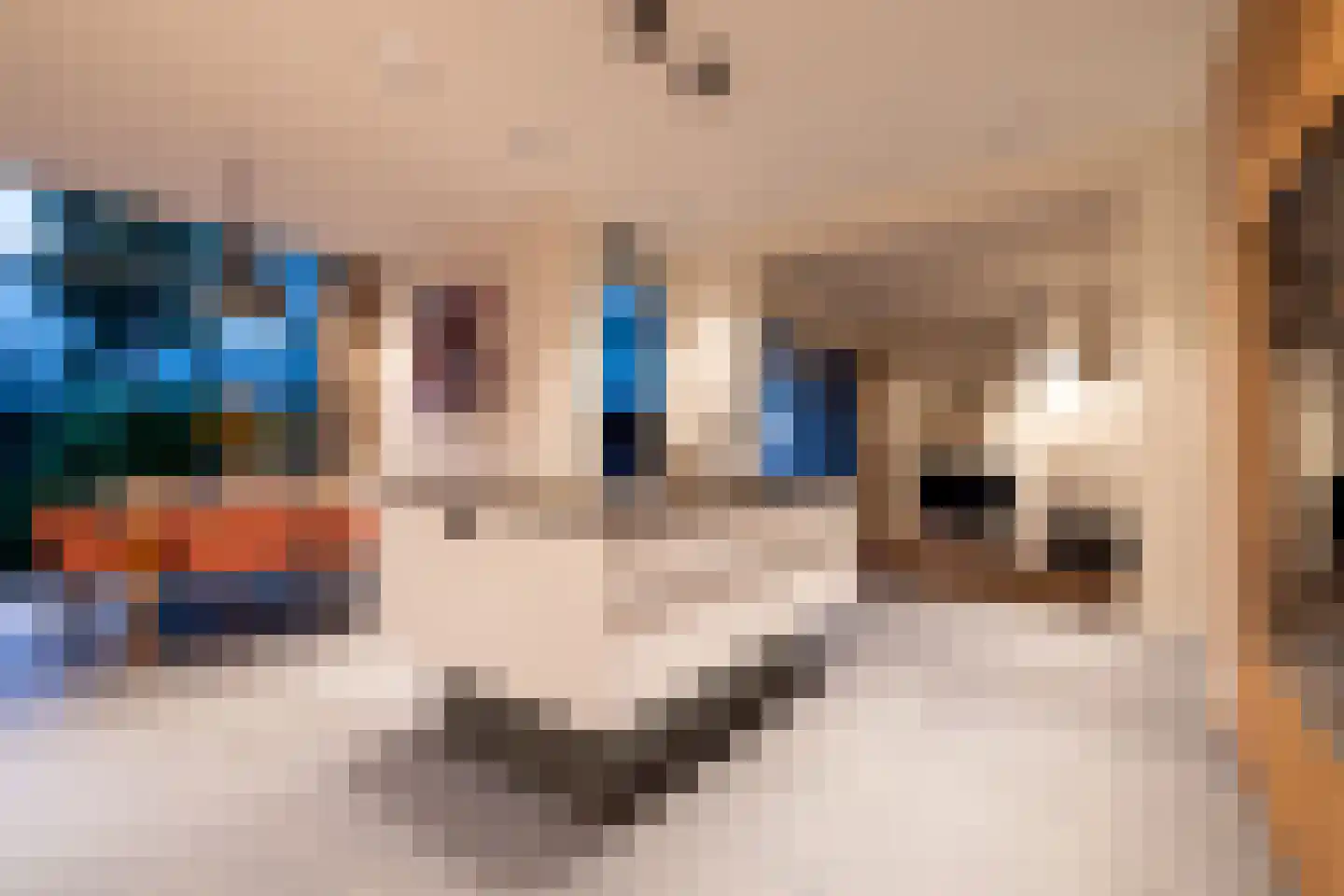 Mathenesserlaan 202 A Rotterdam thumbnail 80