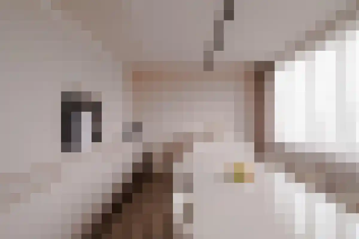 Mathenesserlaan 208 V Rotterdam thumbnail 6