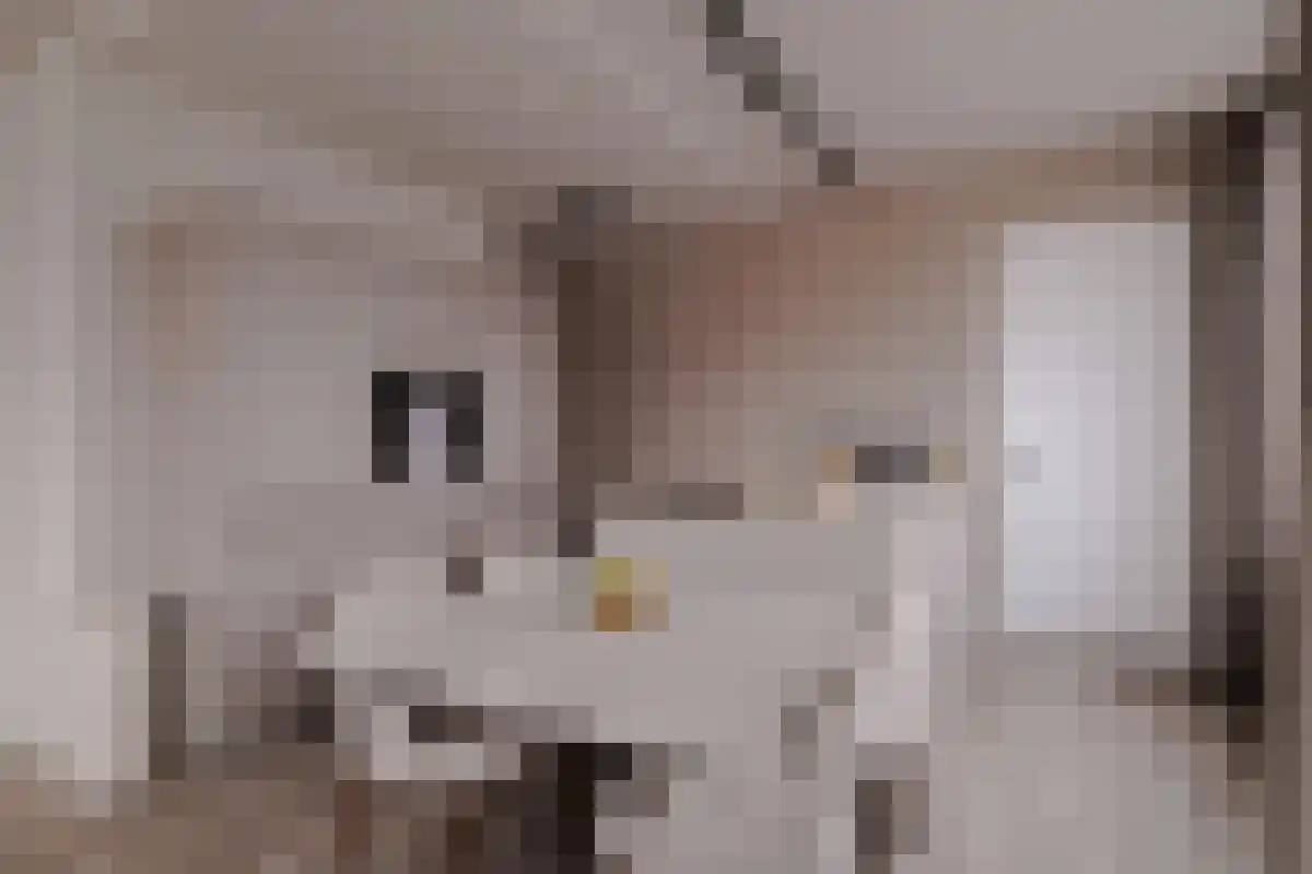 Mathenesserlaan 208 W Rotterdam thumbnail 5