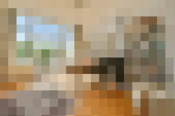 Mathenesserlaan 244 C Rotterdam thumbnail 23