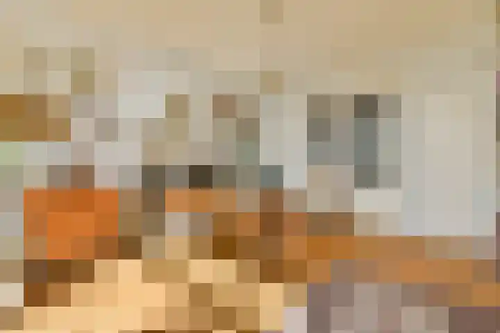 Mathenesserlaan 244 C Rotterdam thumbnail 28