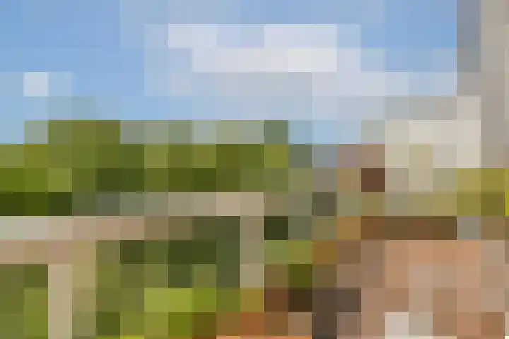 Mathenesserlaan 244 C Rotterdam thumbnail 30