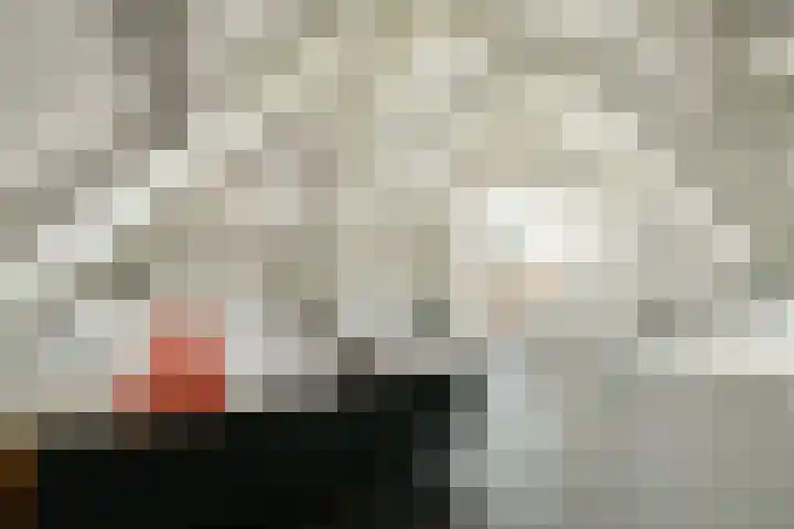Mathenesserlaan 244 C Rotterdam thumbnail 38