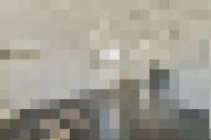 Mathenesserlaan 244 C Rotterdam thumbnail 40