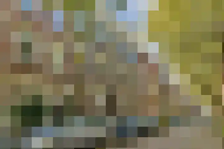 Mathenesserlaan 244 C Rotterdam thumbnail 47