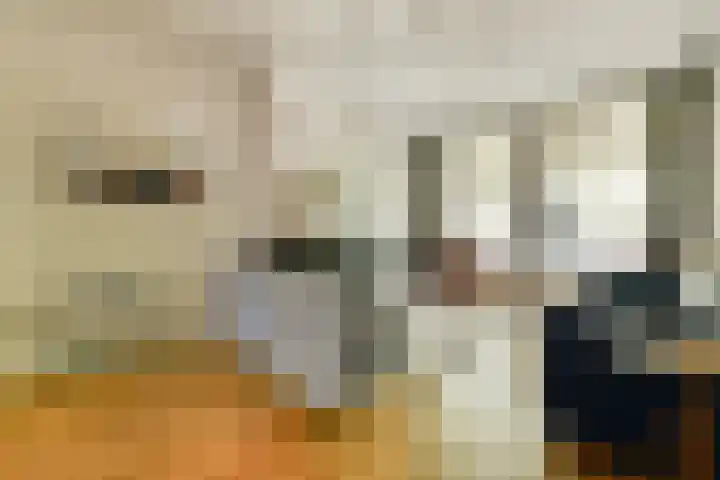 Mathenesserlaan 244 C Rotterdam thumbnail 6