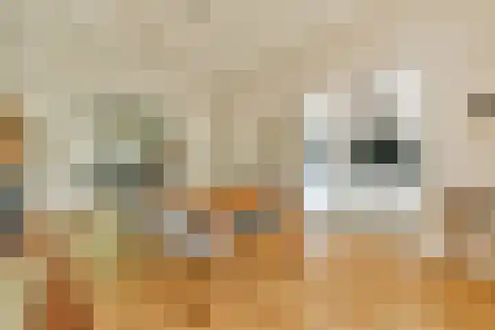 Mathenesserlaan 244 C Rotterdam thumbnail 8