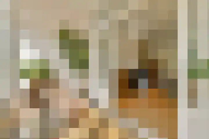 Mathenesserlaan 244 C Rotterdam thumbnail 9