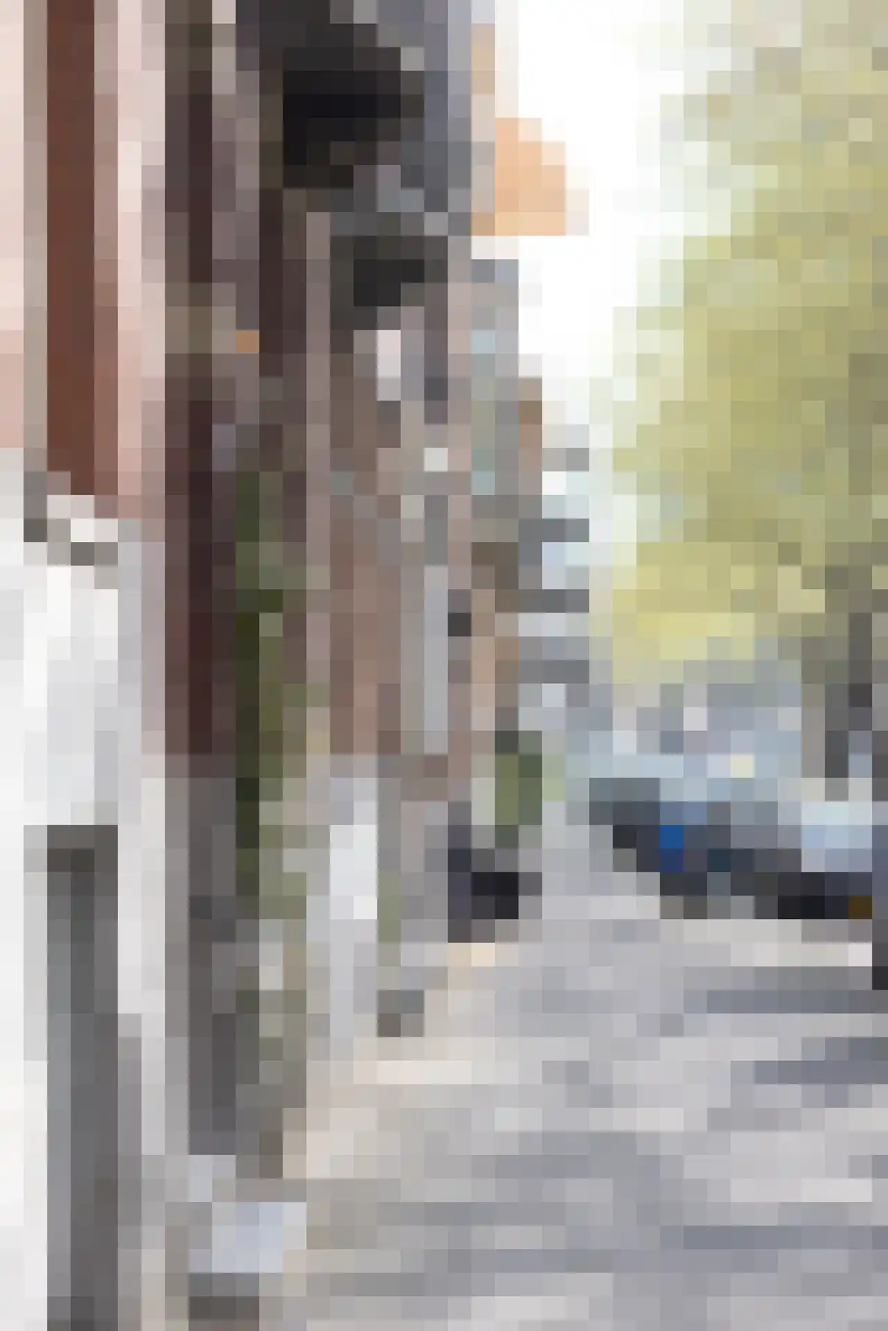 Mathenesserlaan 247 A Rotterdam thumbnail 23