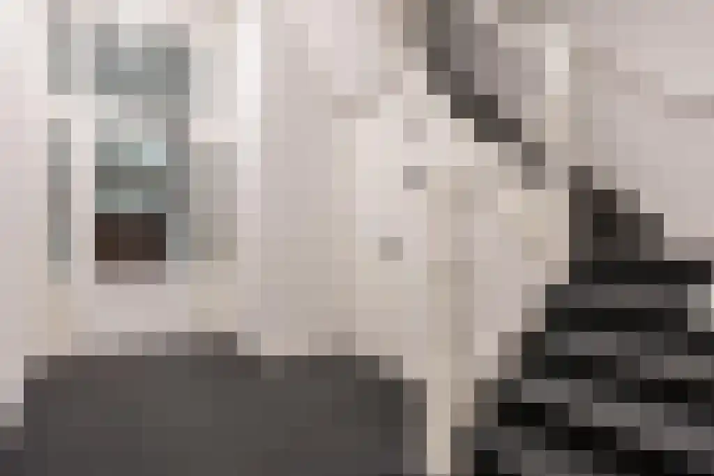Mathenesserlaan 247 B Rotterdam thumbnail 22
