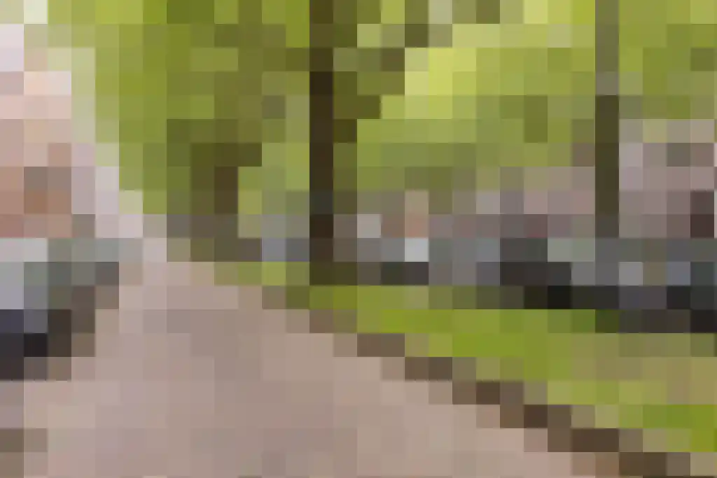 Mathenesserlaan 247 B Rotterdam thumbnail 30