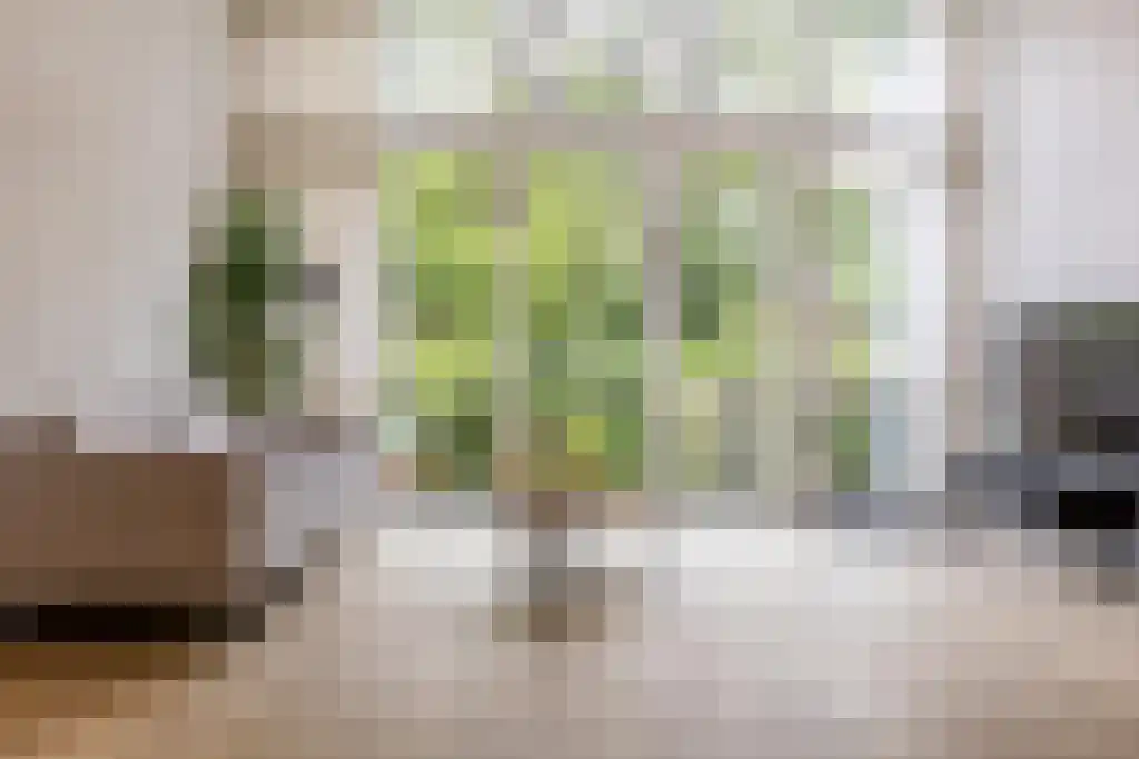 Mathenesserlaan 247 B Rotterdam thumbnail 8